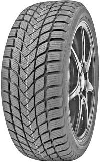 Зимние шины Delinte Winter WD6 225/50R17 98T